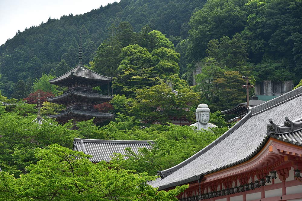 【第11回】日本三大山城とその城下町