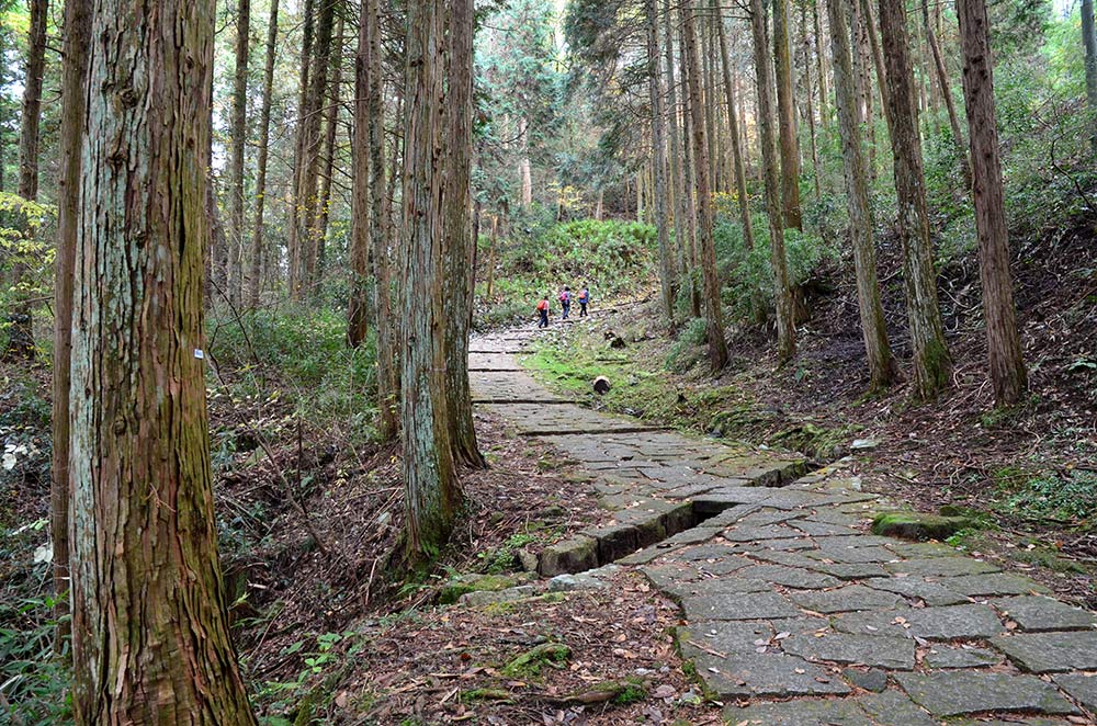 【第11回】日本三大山城とその城下町