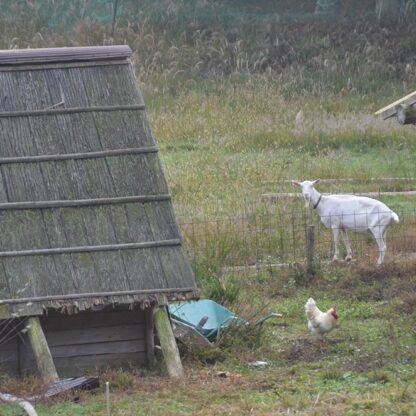 風土をめぐる写真集【第14回】近江の『かくれ里』」を行く―その1