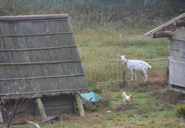 風土をめぐる写真集【第14回】近江の『かくれ里』」を行く―その1