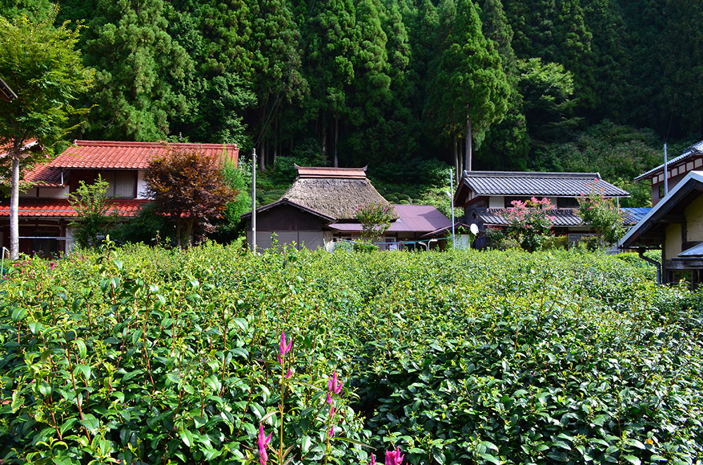 風土をめぐる写真集【第15回】近江の『かくれ里』」を行く―その2