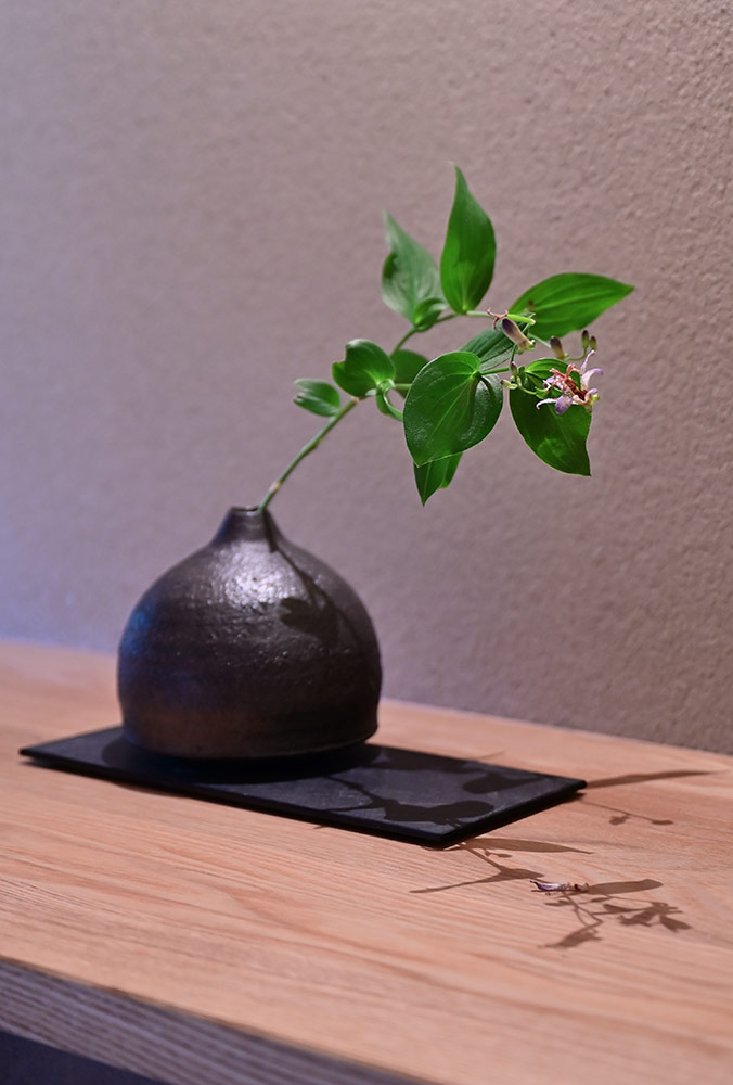 築100年の古民家再生「鹿ケ谷の家」