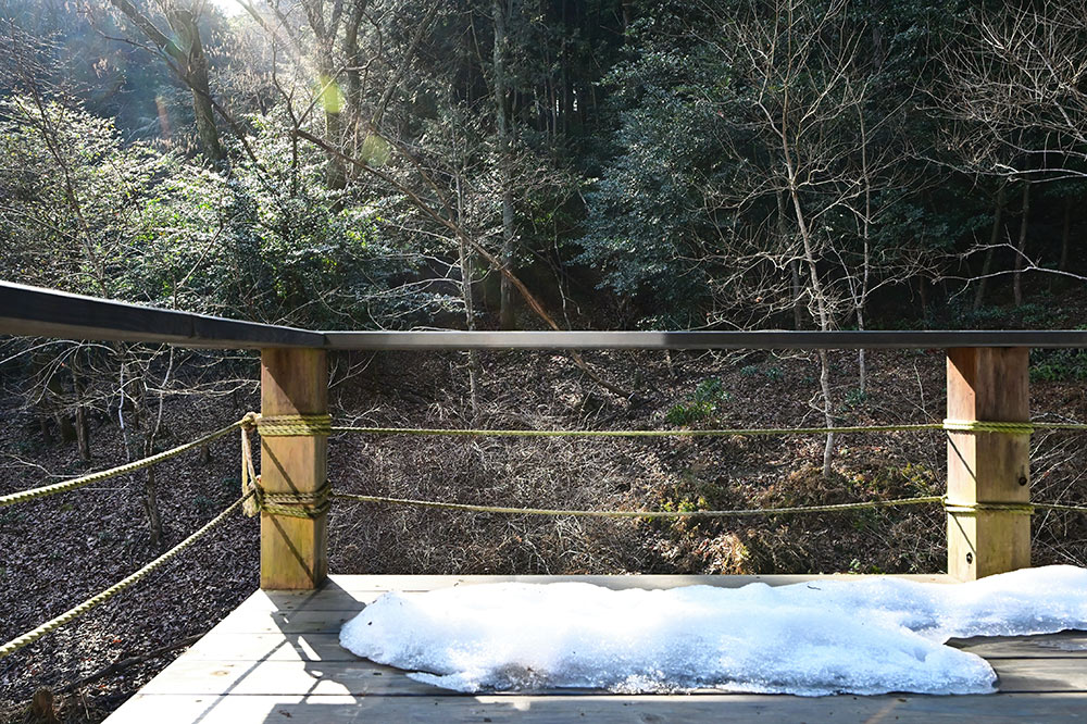 豊かな自然を感じる小さな家 